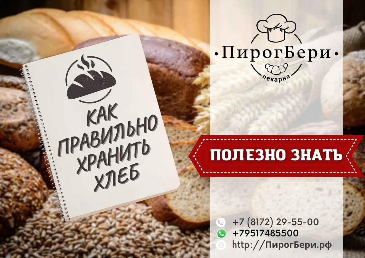 КАК ХРАНИТЬ ХЛЕБ